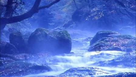 《娄底茶事》 | 生如雪花之绚烂